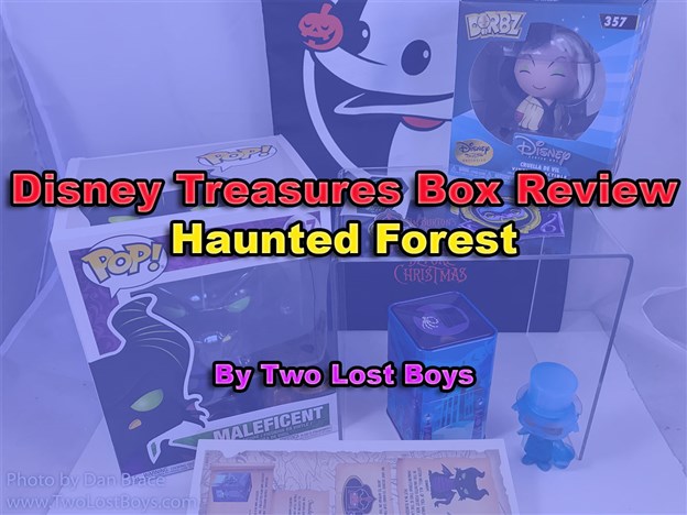 Disney Treasures Box Review - Haunted Forest